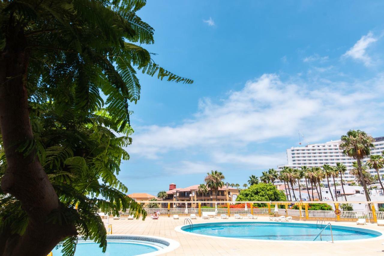 Apartment Homeforguest Beach Apt With Sea View & Pool, 50 Steps To The Sea