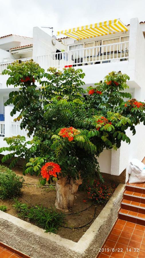 Appartement Club El Paradero Playa de las Américas