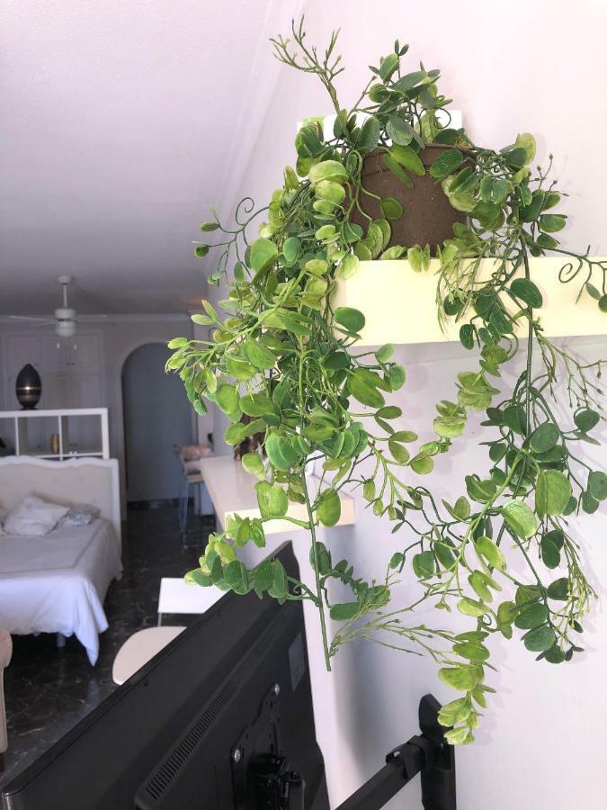 Apartment Estudio Vista Gigantes *