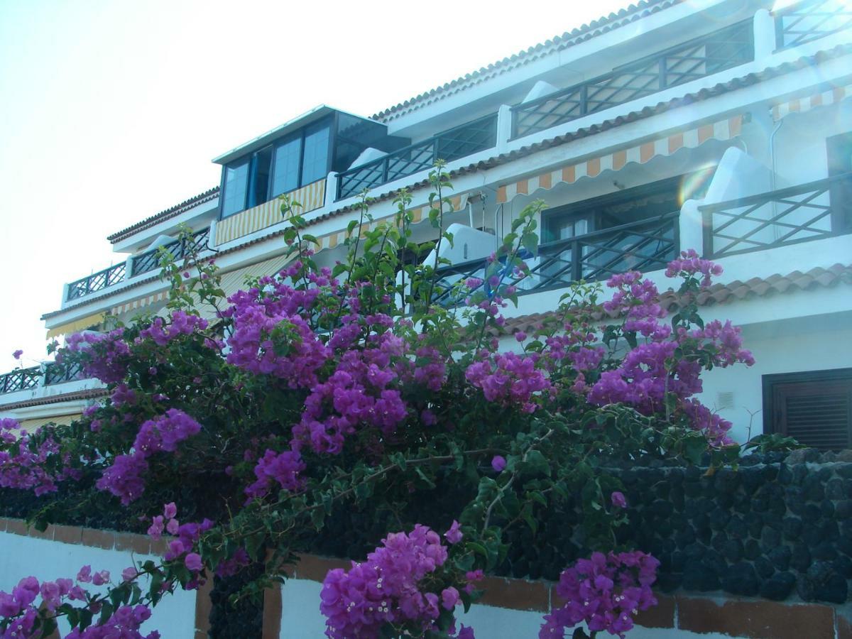 Coastside Apartment, Amarilla Bay Apartment