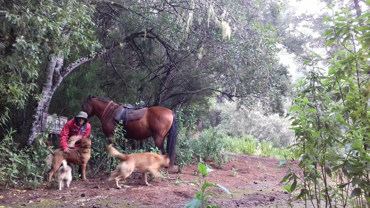 Y Fincatenerife Relax And Enjoy Casa rural *