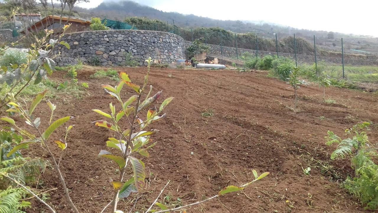 Casa rural Y Fincatenerife Relax And Enjoy