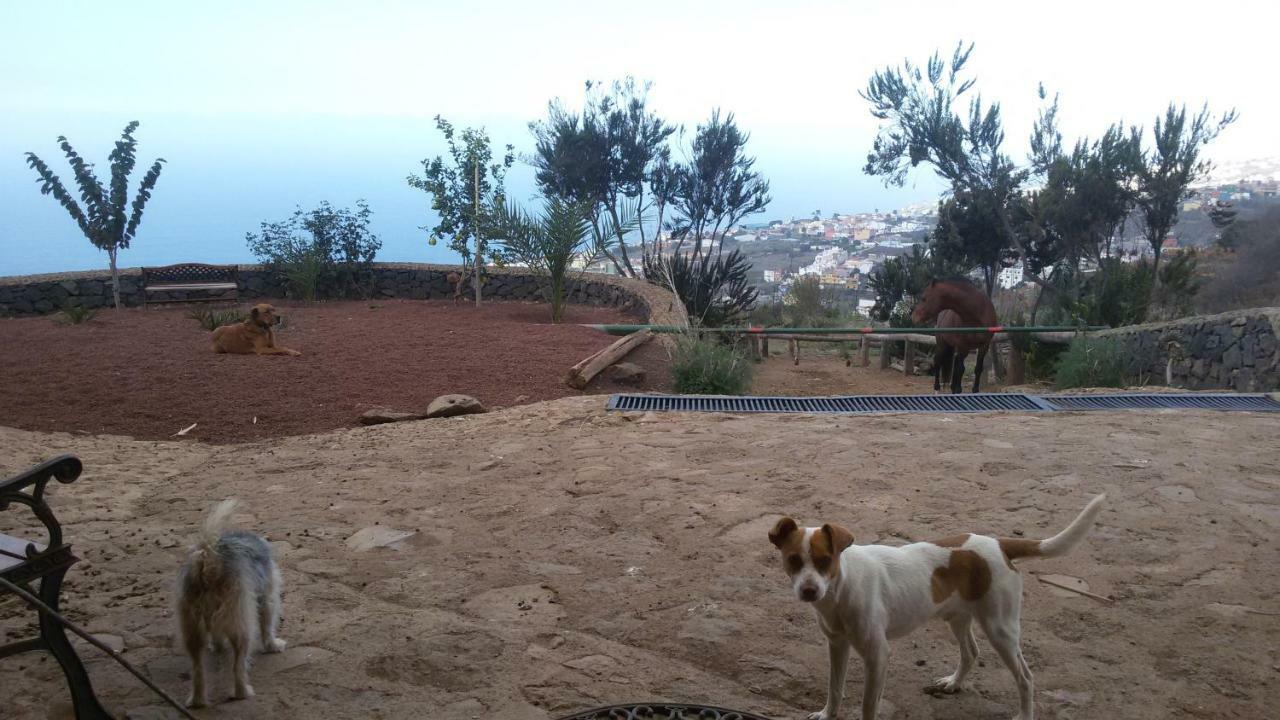 Country house Rural House Tenerife Relax And Enjoy *