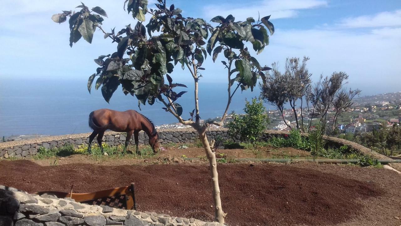Rural House Tenerife Relax And Enjoy Santa Ursula (Tenerife)