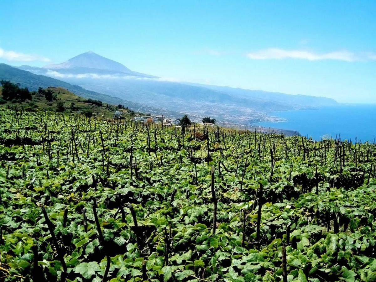 Paraiso Tranquilidad Vistas Mar Y Teide *