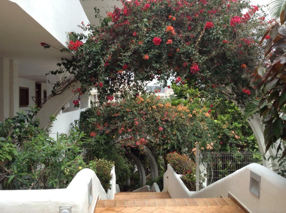 Appartement New Beautiful Apartment!beaches Nearby!ocean View! Costa Adeje (Tenerife)