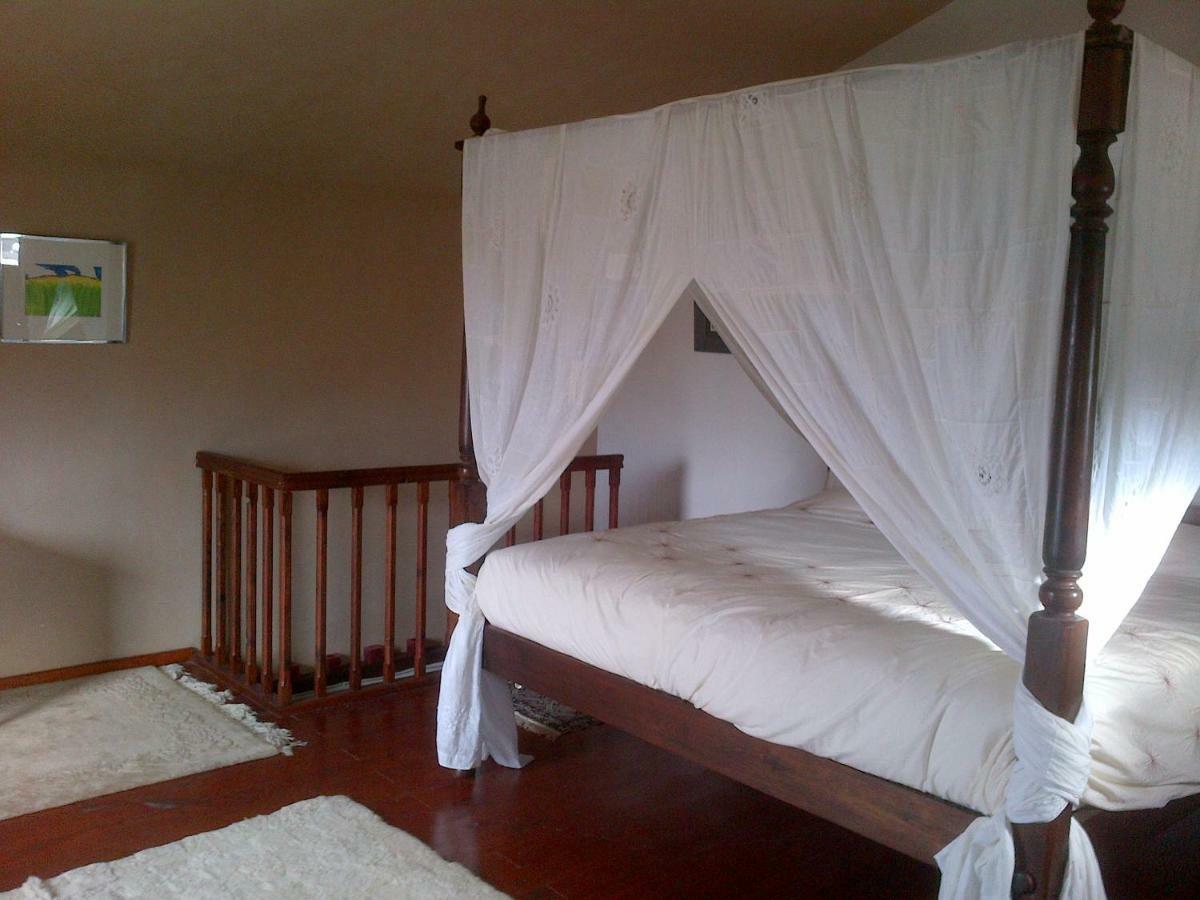 Country house Finca La Alejandria Fasnia