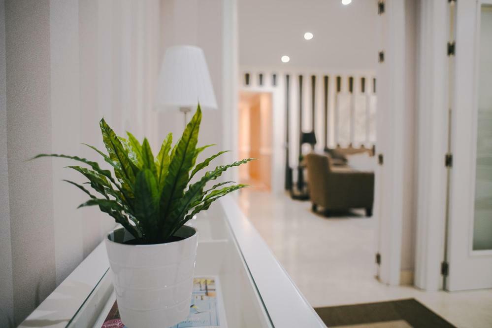 Apartment Vista Paraiso - Doctor Trujillo Santa Cruz de Tenerife