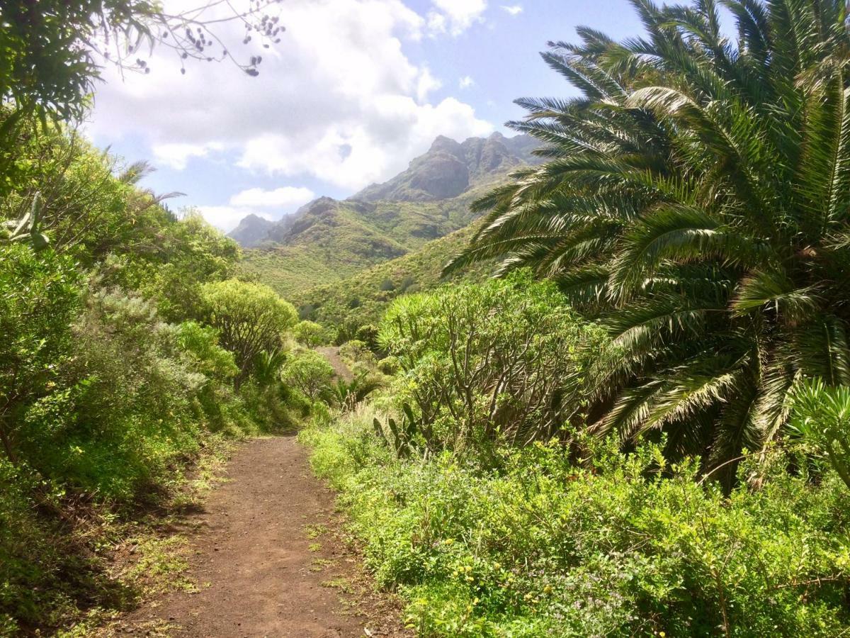 Apt. Lourdes, Close To The Teresitas & Anaga Apartment San Andres (Tenerife)