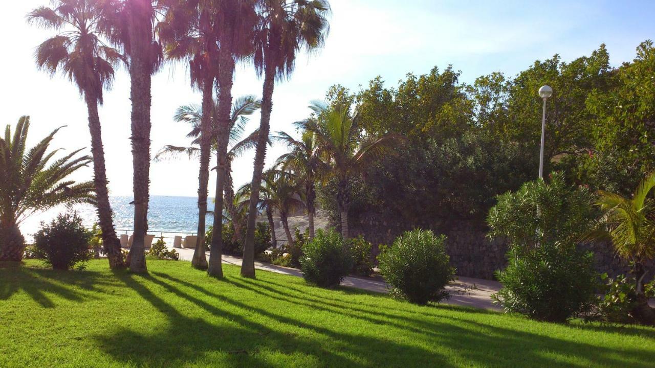 Veronicas * Arona (Tenerife)