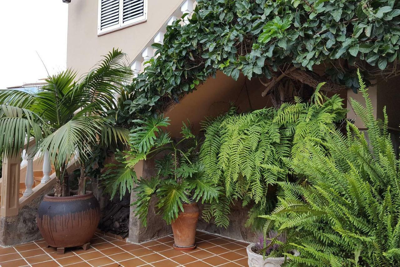Orotava Garden House Perfect For Families Holiday home La Orotava