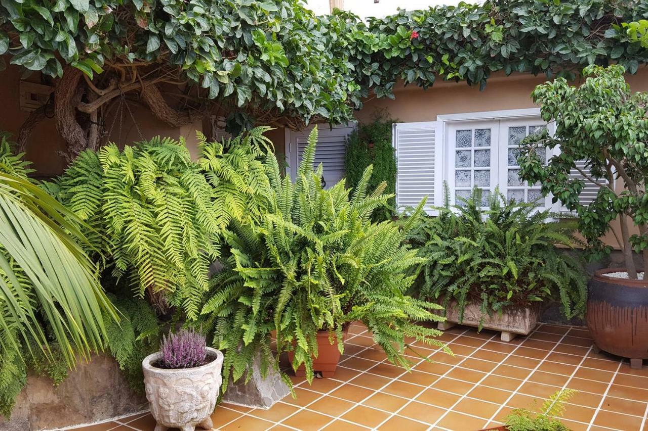 Orotava Garden House Perfect For Families *