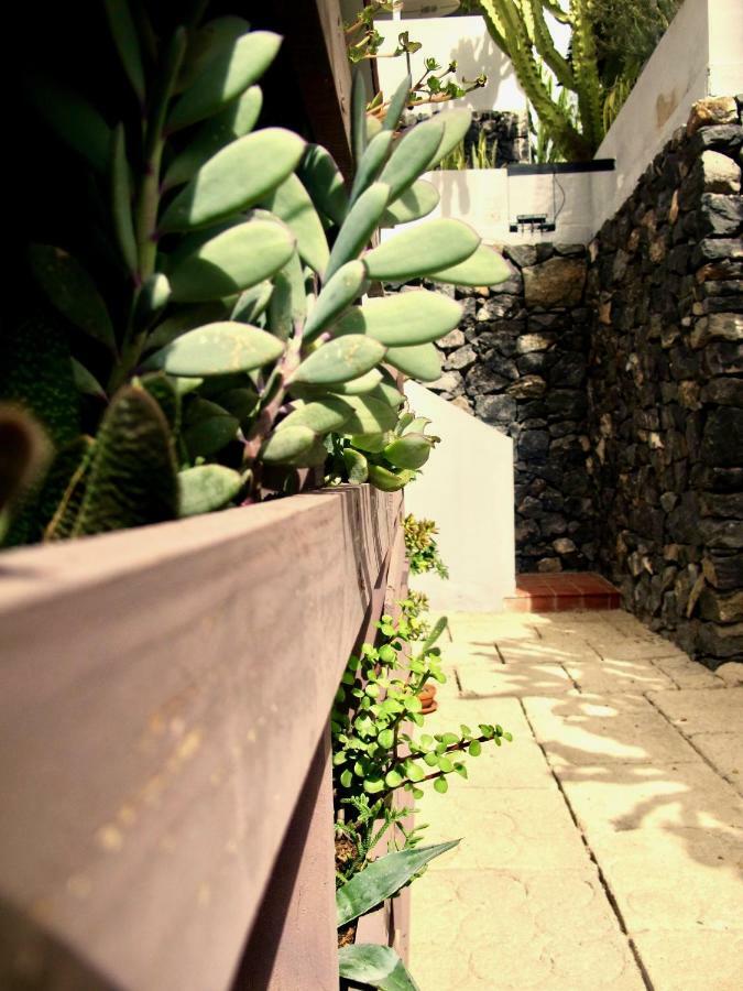 Pardela Apartment *