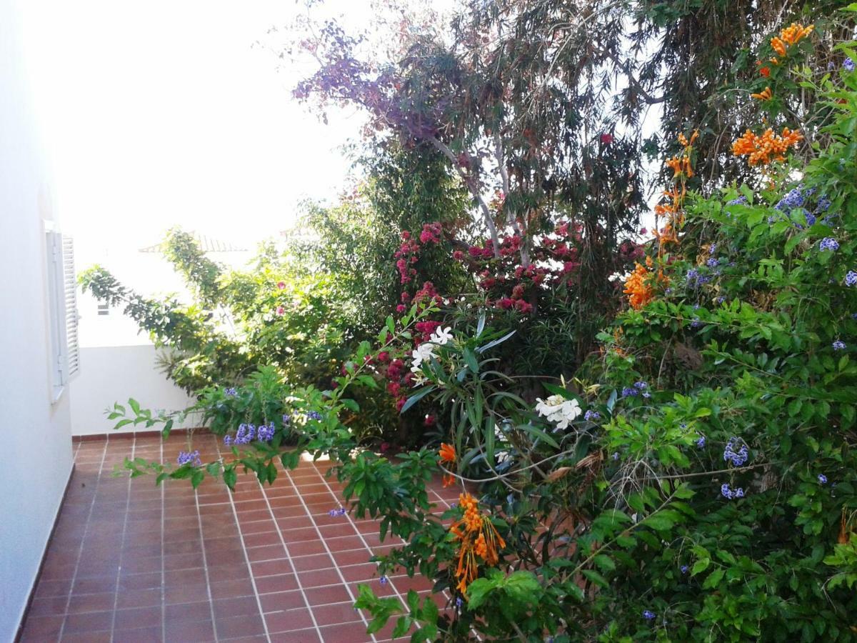 Casa Vista Y Jardin En Costa Adeje * Costa Adeje (Tenerife)