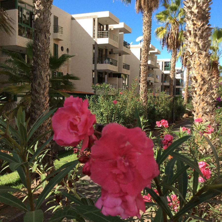 Vinas * Playa de las Americas (Tenerife)