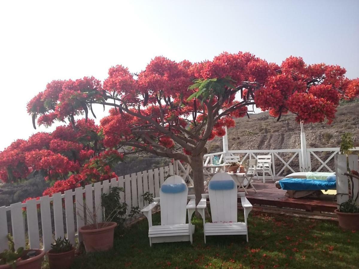 La Casita