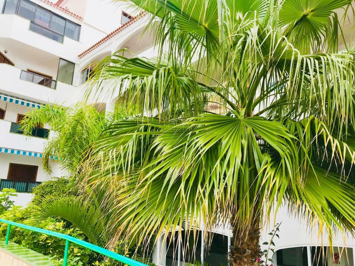 Atlantic View - Quiet, Peaceful And Windless With Fantastic Ocean View Apartment