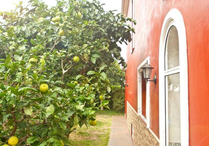Pensión Casa Buganvilla Los Realejos