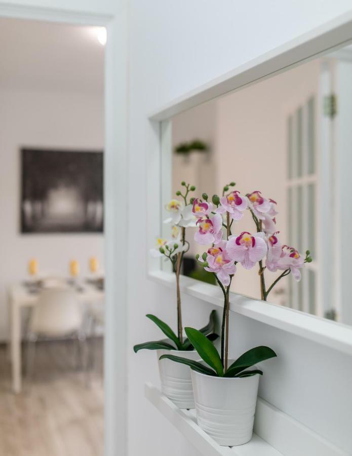 Cruz Downtown Apartment Santa Cruz de Tenerife