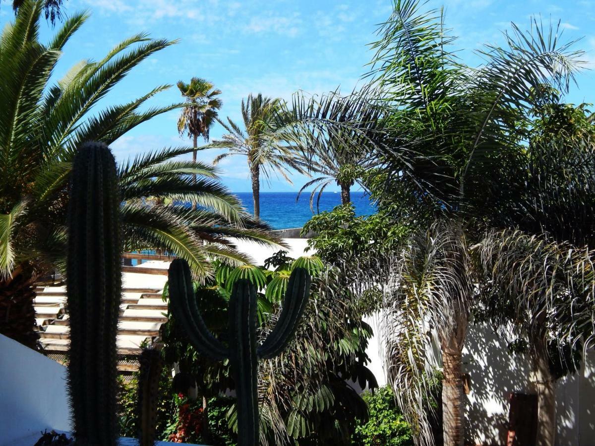 Beautiful Beachfront Appartement *