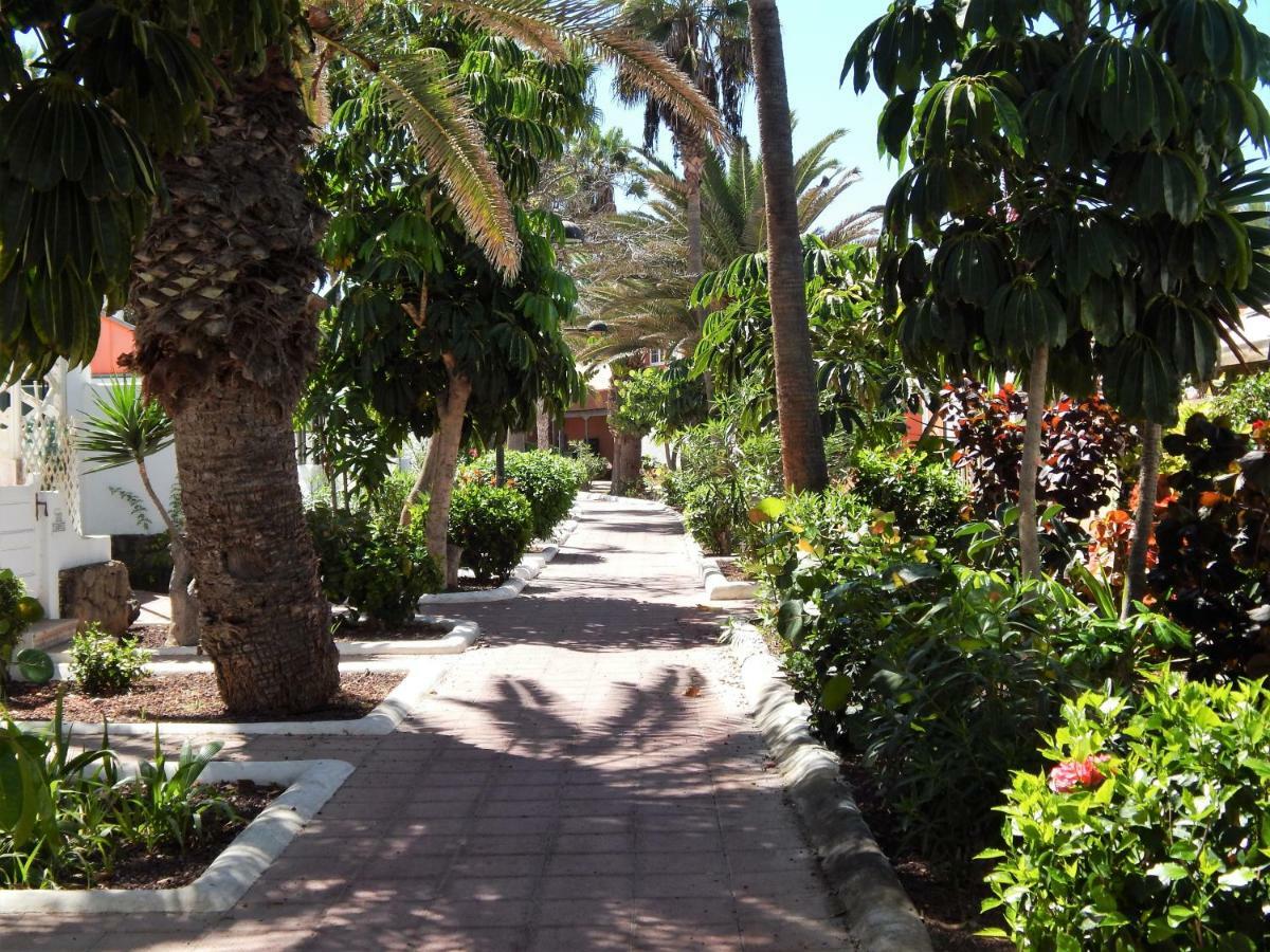 Appartement Beautiful Beachfront Playa de las Américas