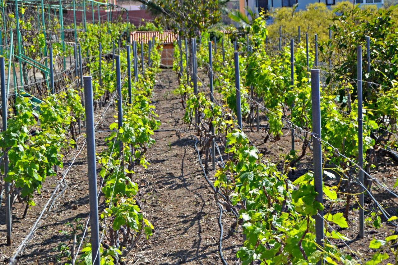Farm stay Casa Victor *