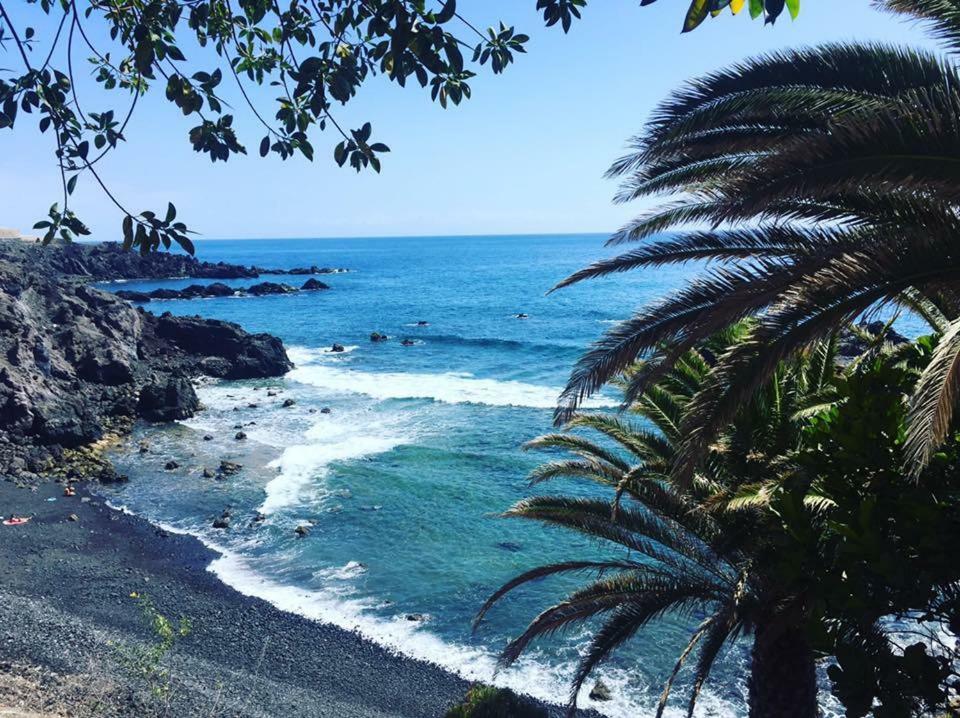 Bonito Cerca Del Mar *