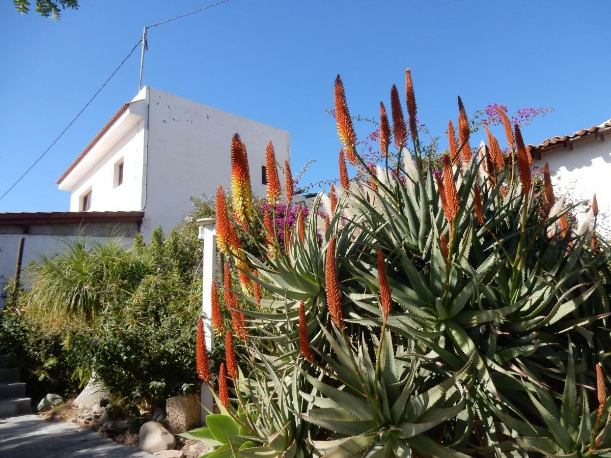 Florida Apartment San Miguel de Abona
