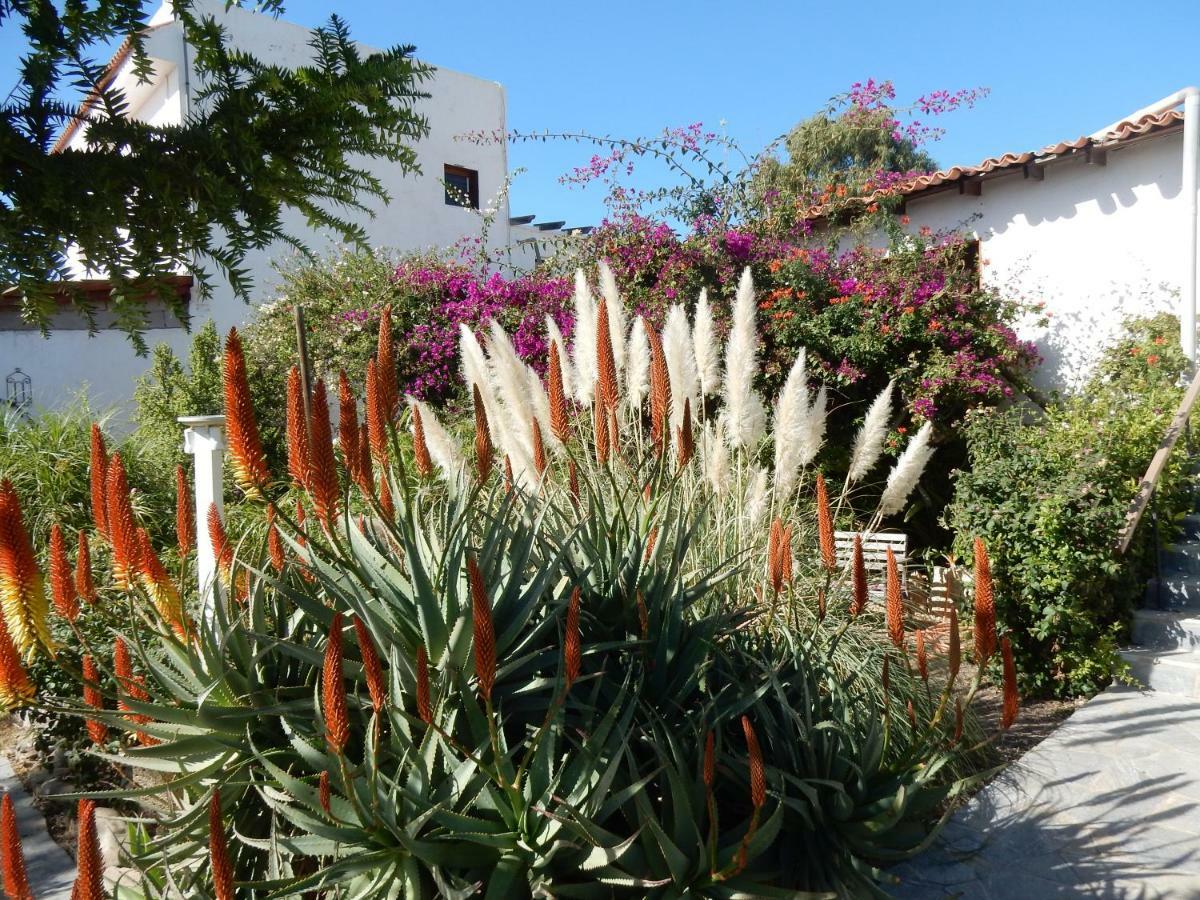 Florida San Miguel de Abona