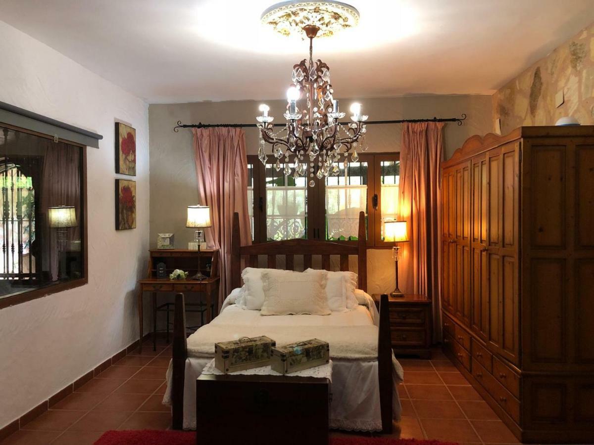 Casa Lazaro, Appartement Tegueste