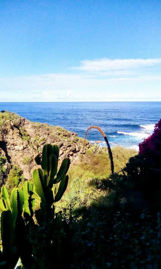 Apartamento La Pardela Oceanfront Los Realejos