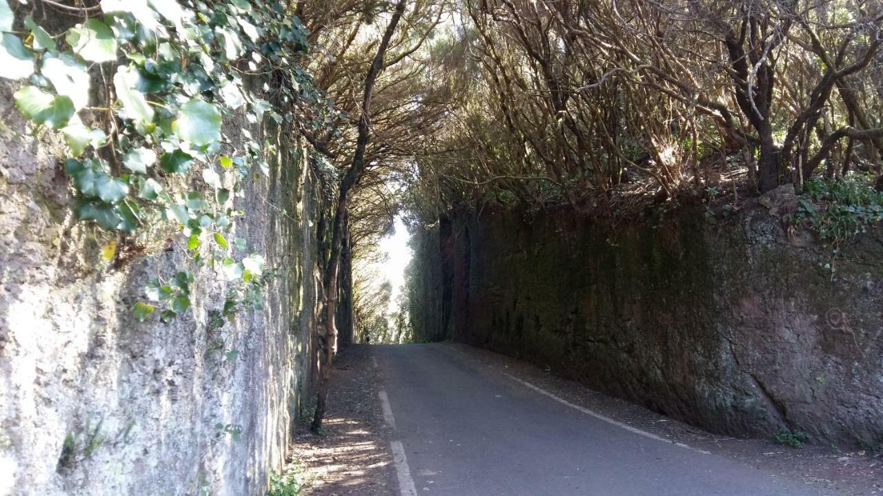 Estudio Molinos La Laguna (Tenerife)