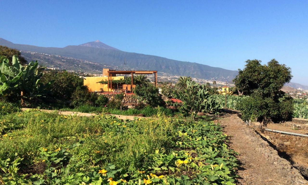 Holiday home La Plantacion _agroturismo *