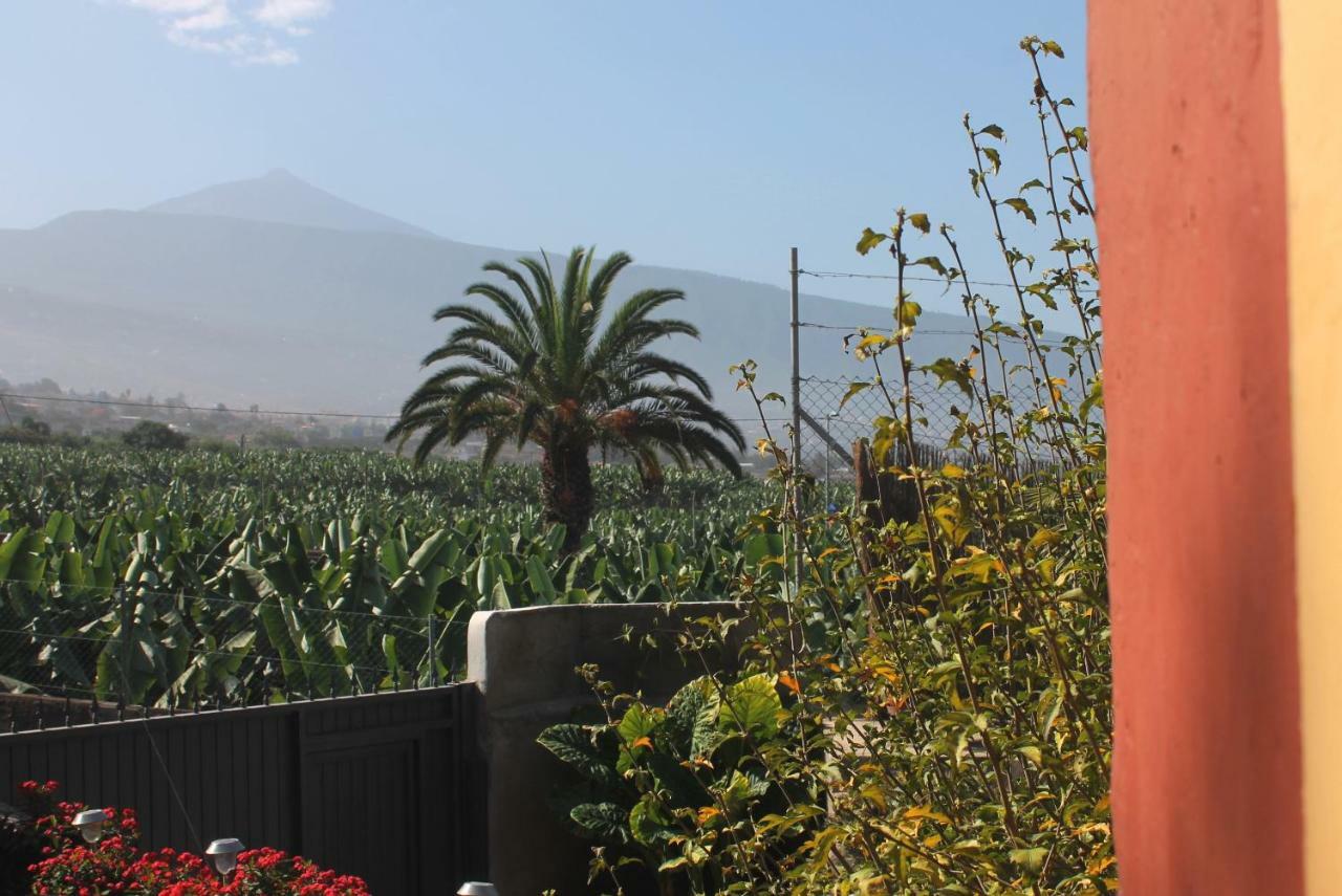 La Plantacion _agroturismo