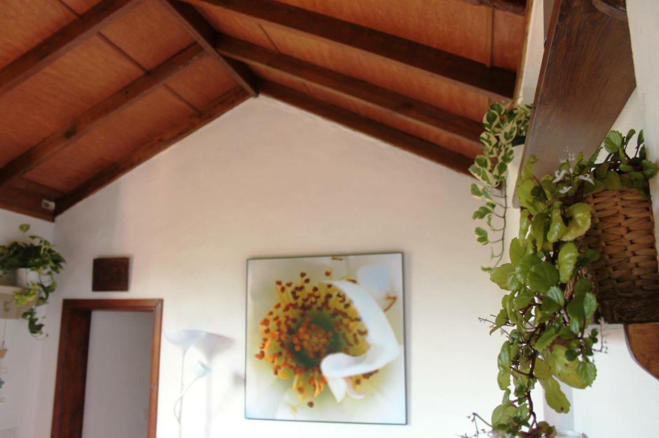 La Plantacion _agroturismo * La Orotava