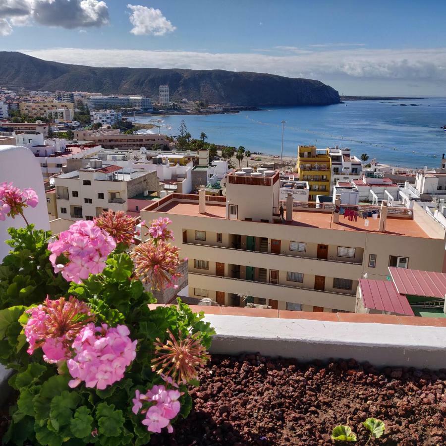 Cactus Los Cristianos Holiday home Los Cristianos (Tenerife)