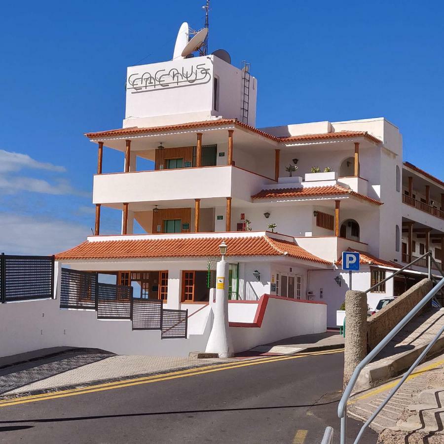 Cactus Los Cristianos