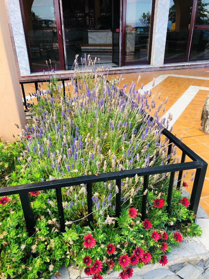 Apartamento Ocean View Costa Adeje (Tenerife)