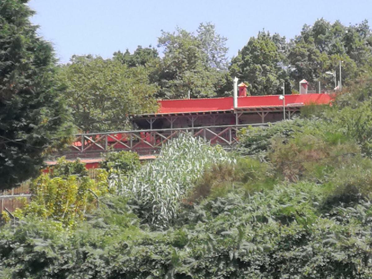 Séjour à la ferme Finca La Jaraca Tacoronte