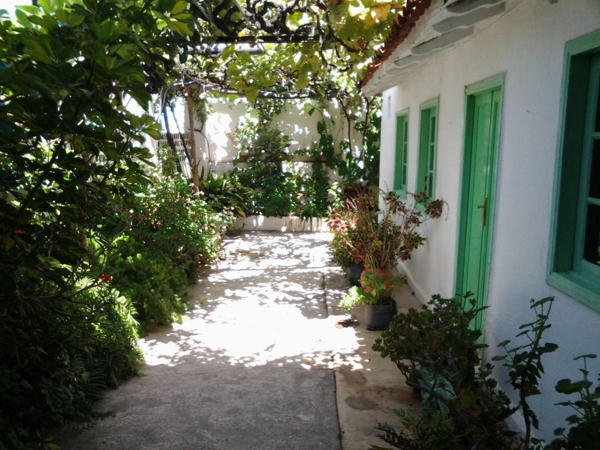 Merche Farm stay Chio (Tenerife)