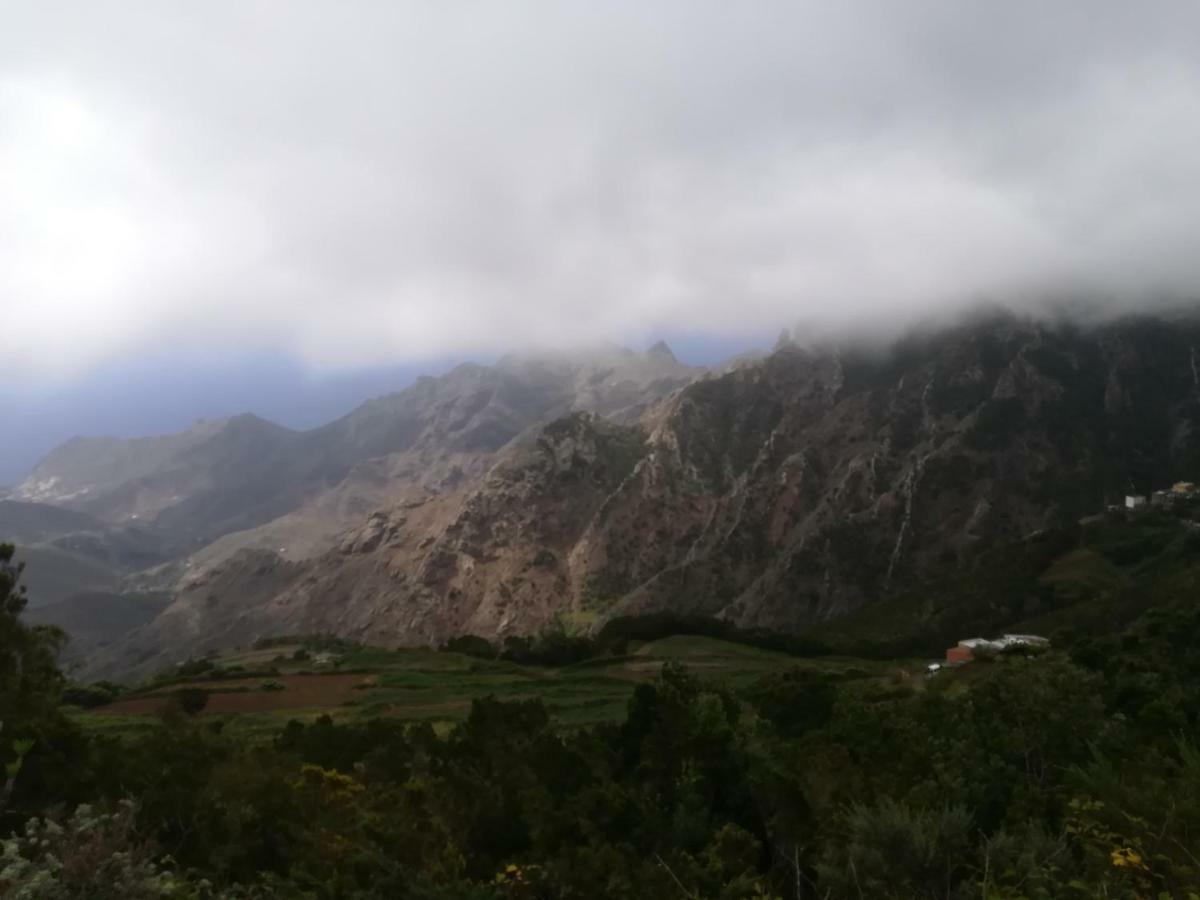 Tenerife Séjour chez l'habitant Santa-Cruz de Ténérife