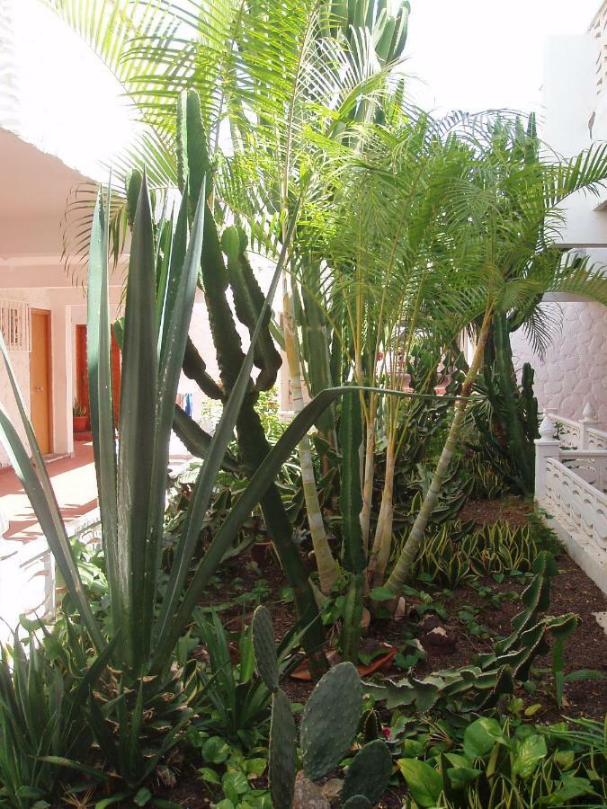 Apartment La Dolce Casa