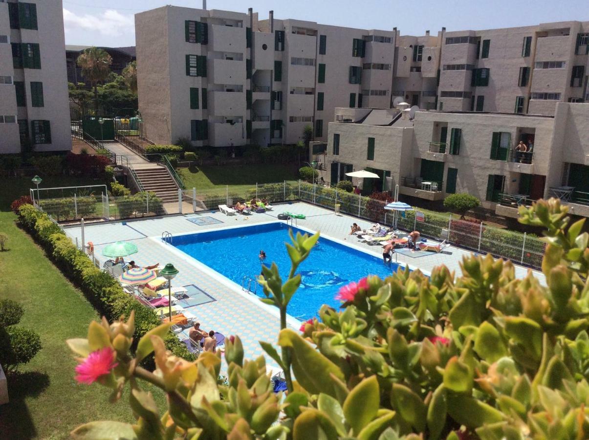 Apartment Vinas Playa de las Americas (Tenerife)