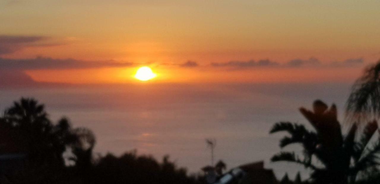 Larnia De Tenerife *