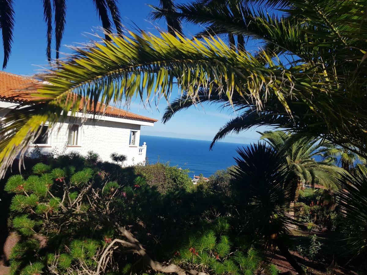 Apartment Larnia De Tenerife