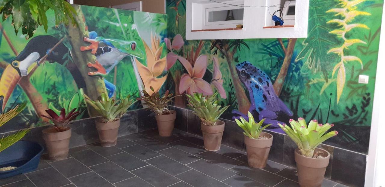Séjour chez l'habitant La Selvita Bajamar (La Laguna)