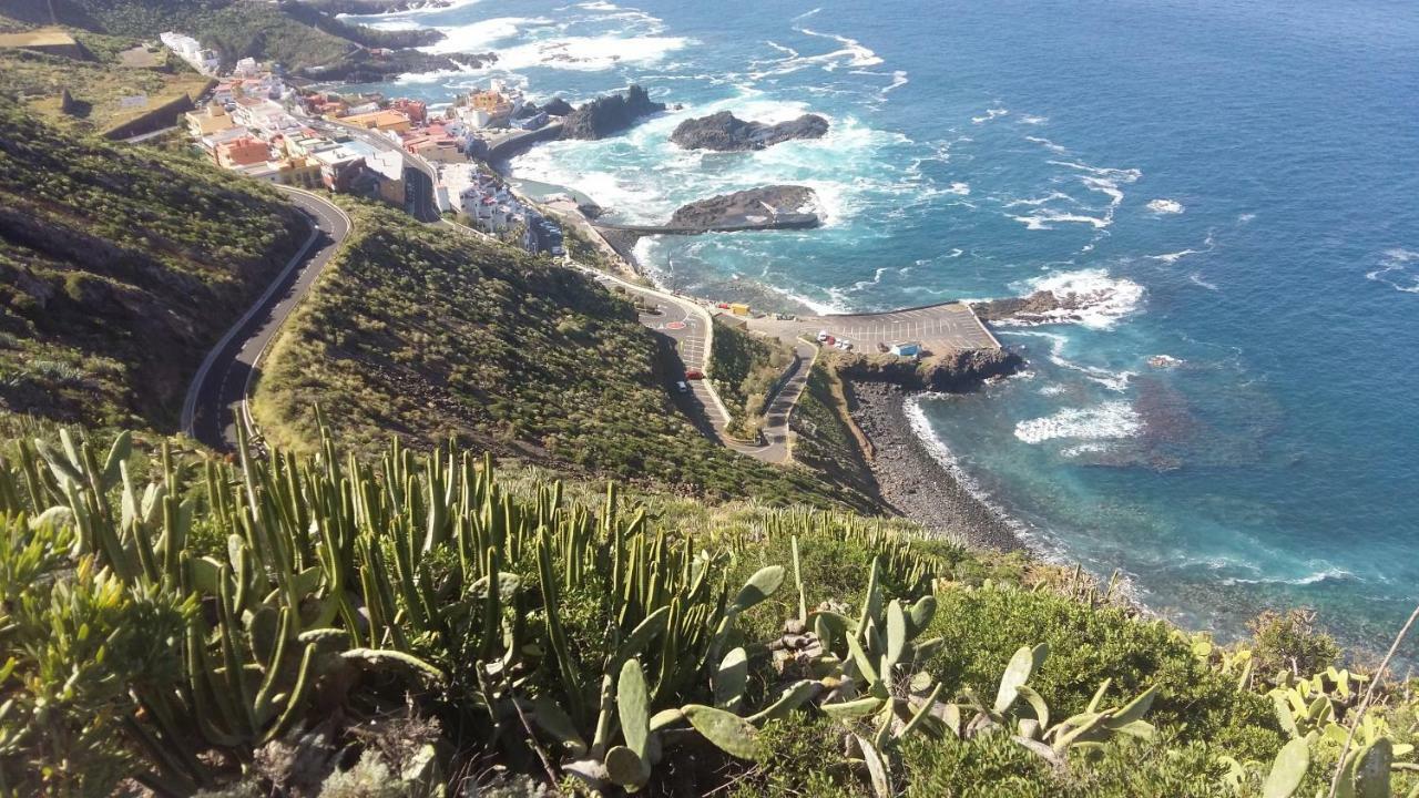 Estudio Molinos La Laguna (Tenerife)