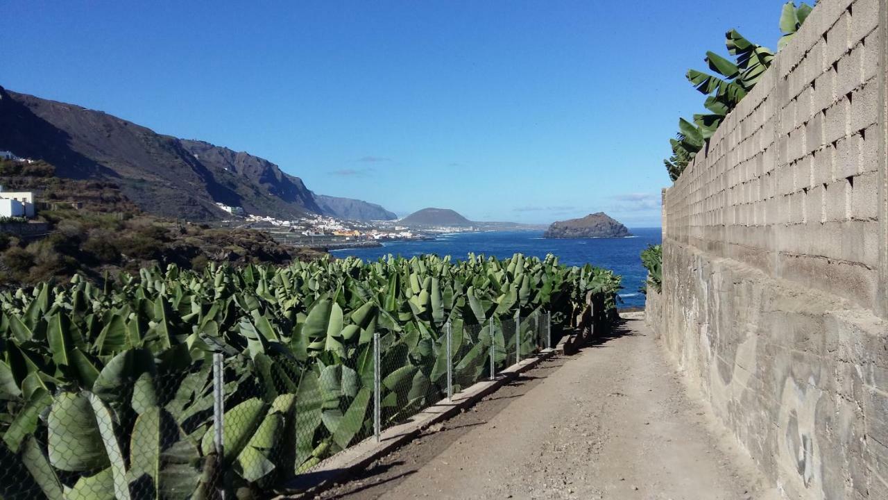 Estudio Molinos * La Laguna (Tenerife)