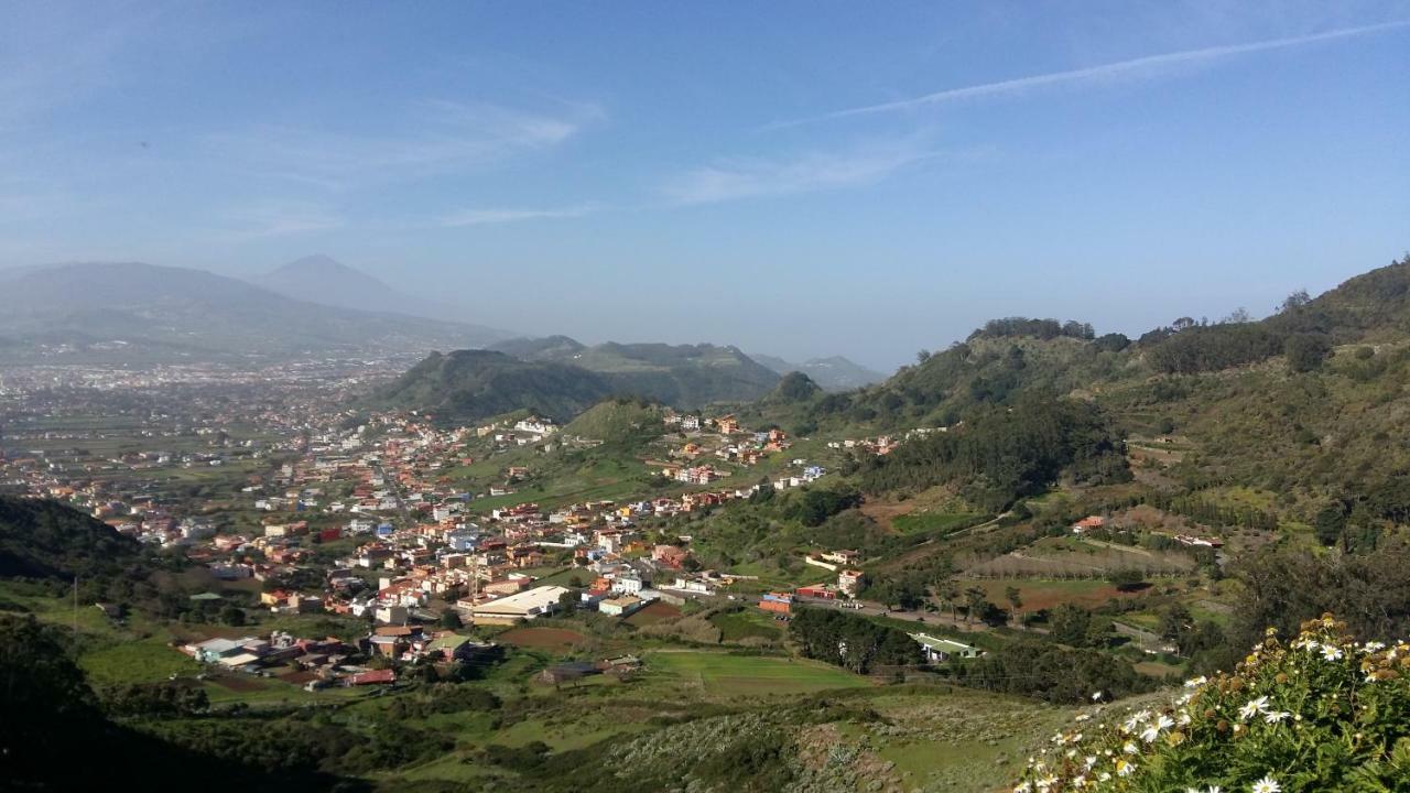Estudio Molinos *
