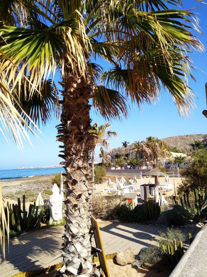 Ocean View Appartement